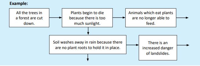 3.2 ACTIVITY: Identifying Cause and Effect – Cause and Effect Chains ...